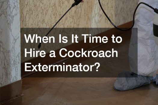 When Is It Time to Hire a Cockroach Experminator?