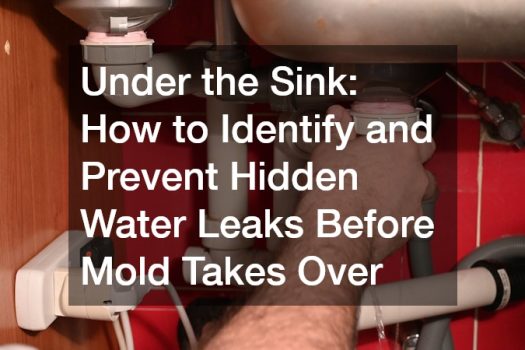 Under the Sink: How to Identify and Prevent Hidden Water Leaks Before Mold Takes Over